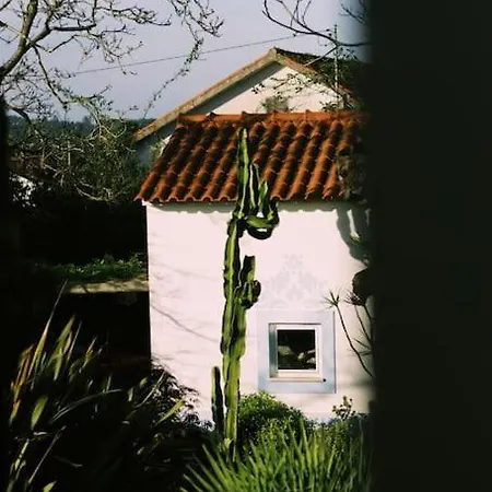 Apartamento Casa Oliva - Casa Da Lenha Porto de Mós